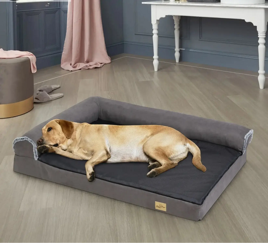 Extra Large Orthopedic Bolster Dog Bed with Memory Foam Life’s Better Ltd