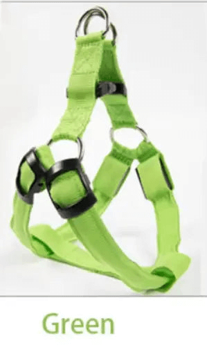 Nylon Pet Safety Harness with LED Lights: Safe and Adjustable.
