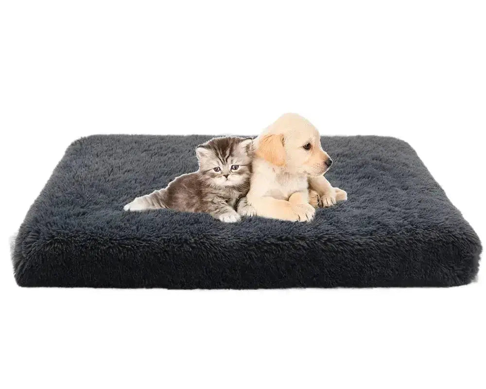 Luxury Orthopedic Memory Foam Dog Cat Bed with puppy and kitten resting together on a cozy surface.
