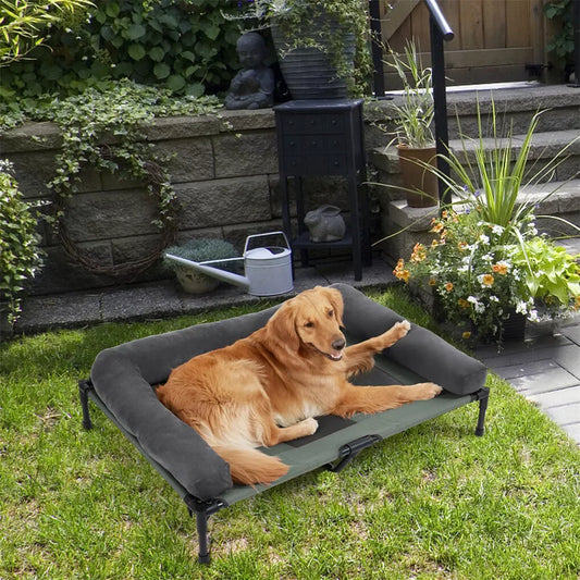 Dog lying on a elevated pet bed in a garden setting