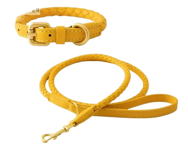 Woven Leather Dog Collar & Lead Set in vibrant yellow with a braided design and gold hardware for stylish pet walks.