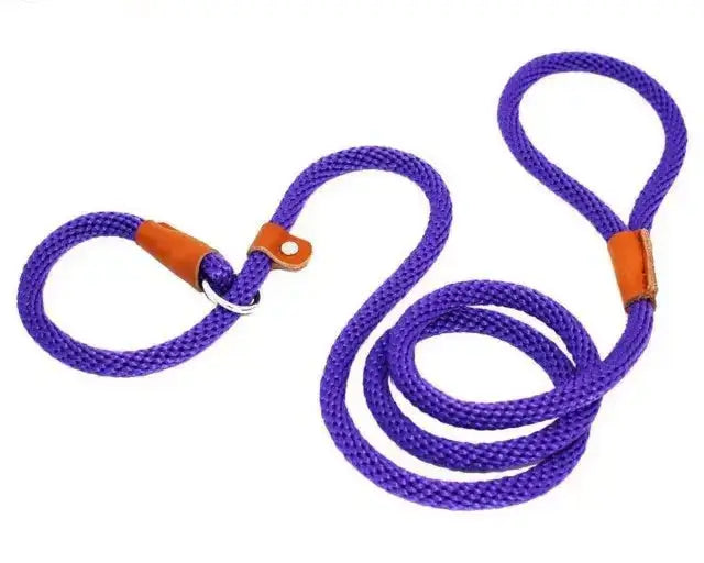 Ultimate Comfort with Our 2-in-1 Slip Lead.