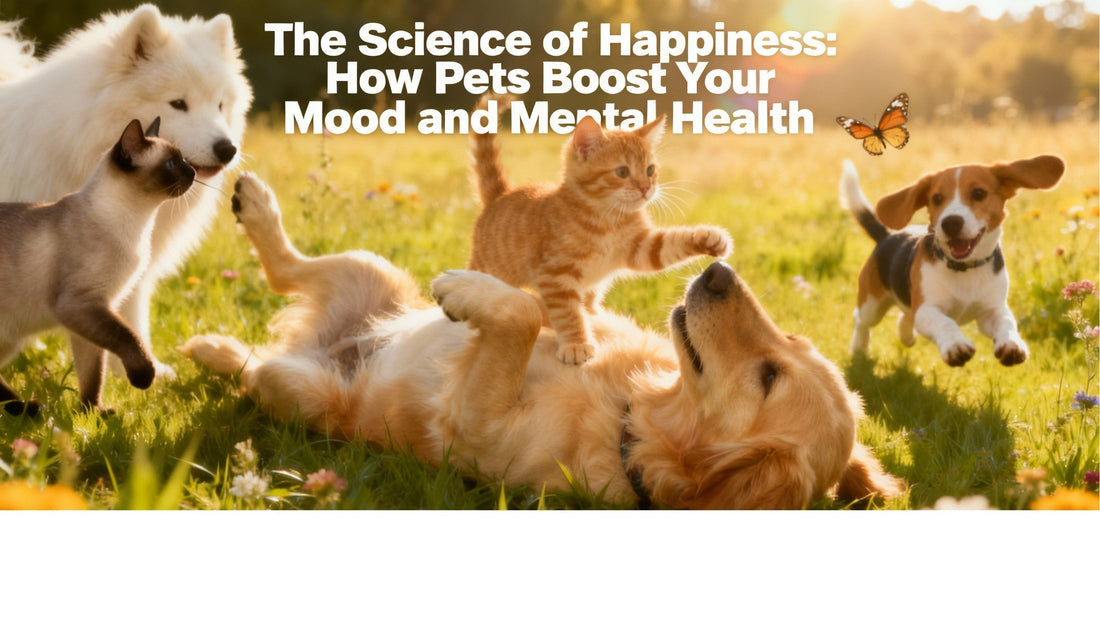 The Science of Happiness: How Pets Boost Your Mood and Mental Health | Life’s Better