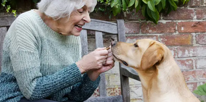 The Benefits of Natural Homemade Dog Treats (UK)