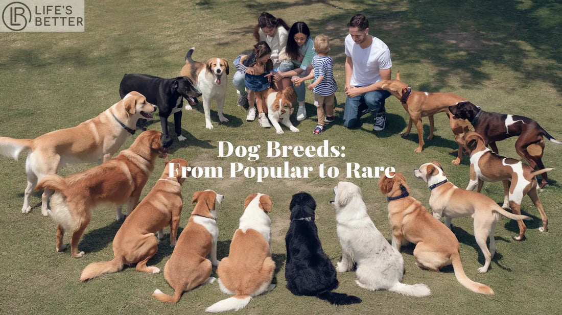 Characteristics-of-popular-Dog-breeds Life’s Better Ltd