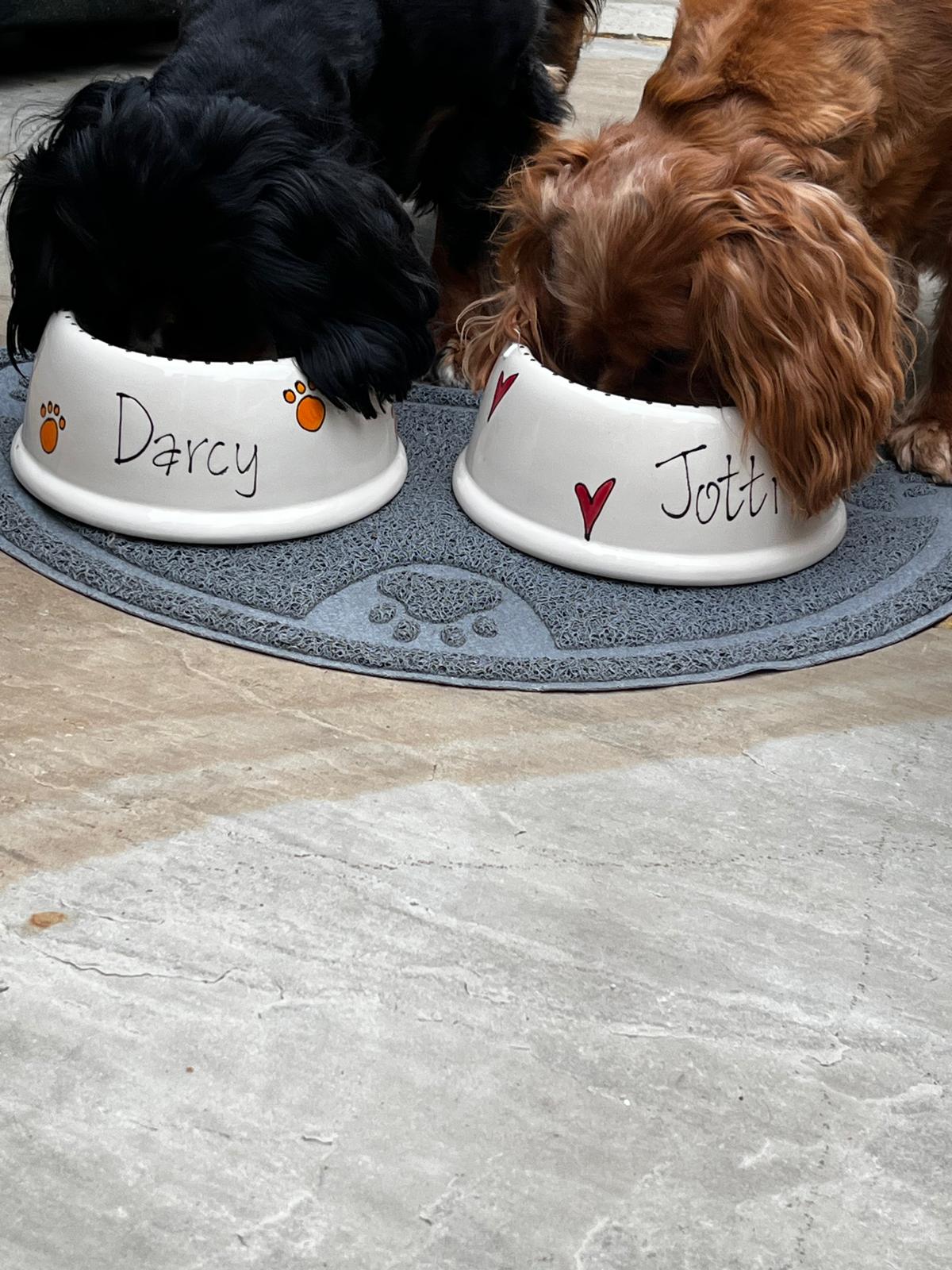 Beautiful Personalised Handmade Pet Bowls – Because Every Pet Deserves a Bowl as Unique as They Are 🐾