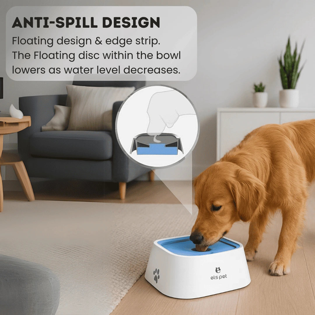 Dog drinking from a blue and white pet bowl with anti-spill design in a living room.
