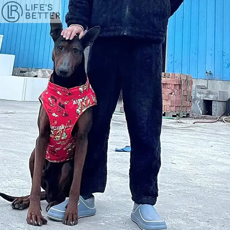 Big Fashion Dog Waterproof Jacket: Comfort and Style for Your Canine Life’s Better Ltd