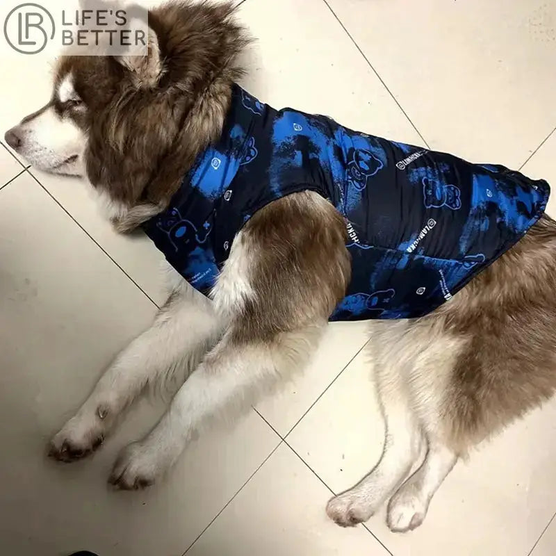 Big Fashion Dog Waterproof Jacket: Comfort and Style for Your Canine Life’s Better Ltd