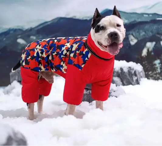 Camouflage PatterDog Coat