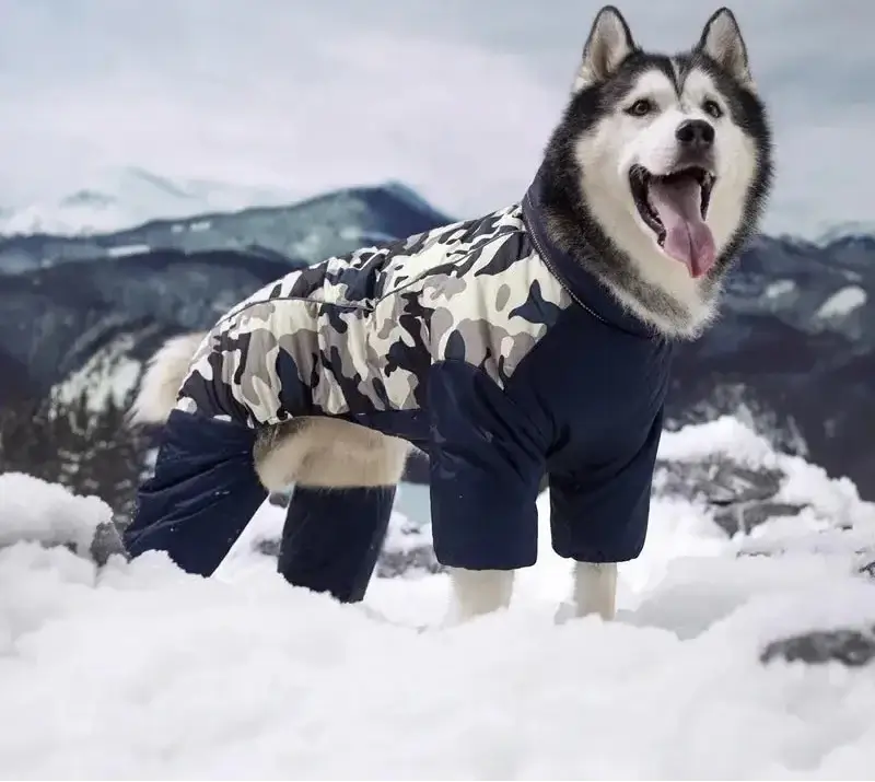 Camouflage PatterDog Coat