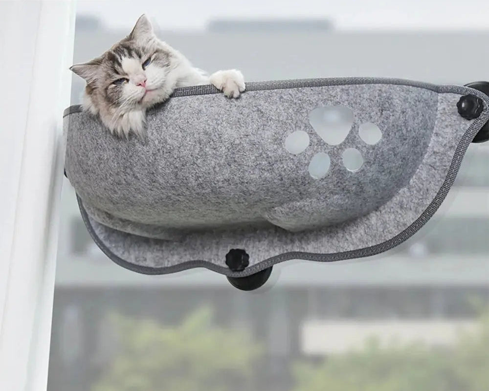Cat Window Hammock Bed.