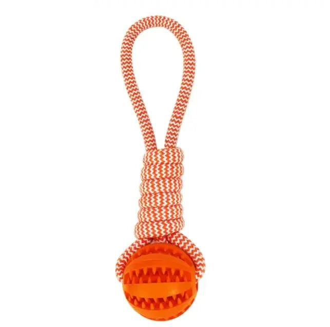 Chew Pro Interactive Dog Toy Ball.