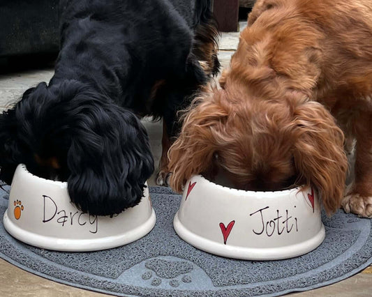 Beautiful Personalised Hand-Painted Ceramic Pet Bowls