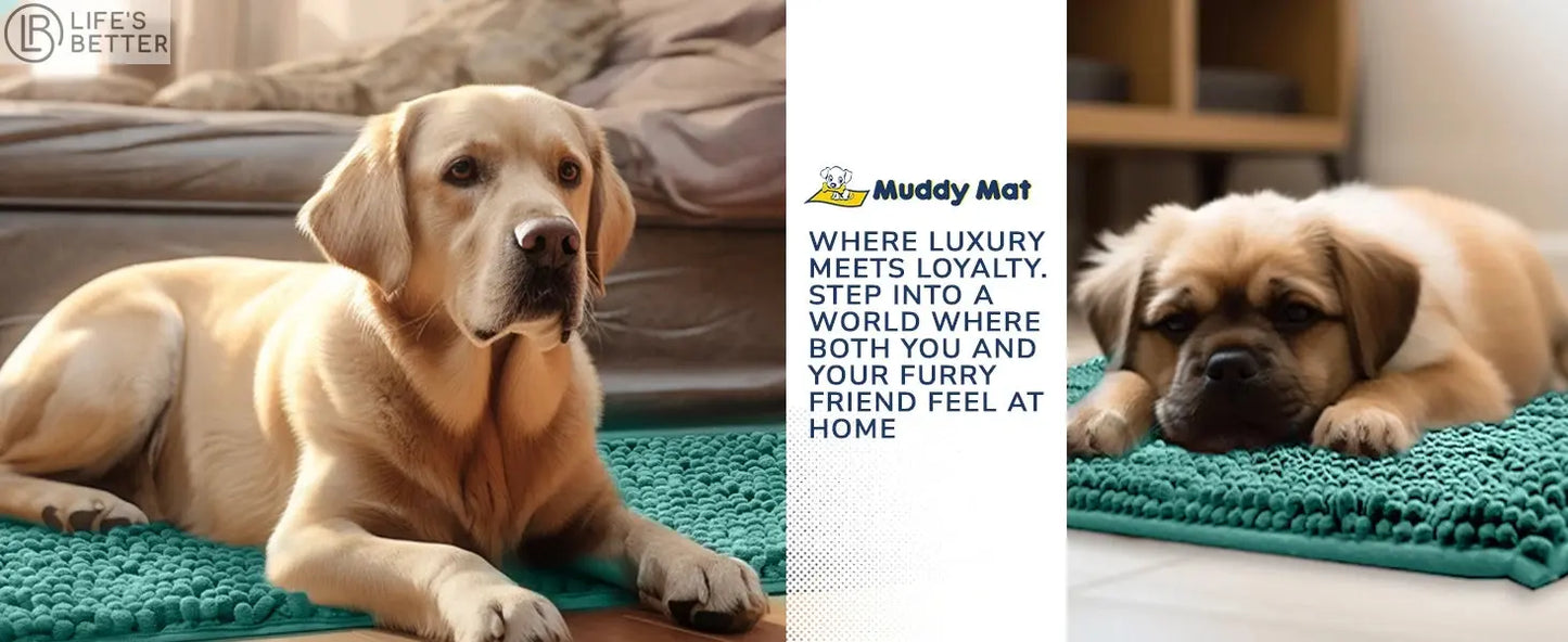 Dog Door Mud Mat: Your Pet's Paw-fect Entryway Companion Life’s Better Ltd
