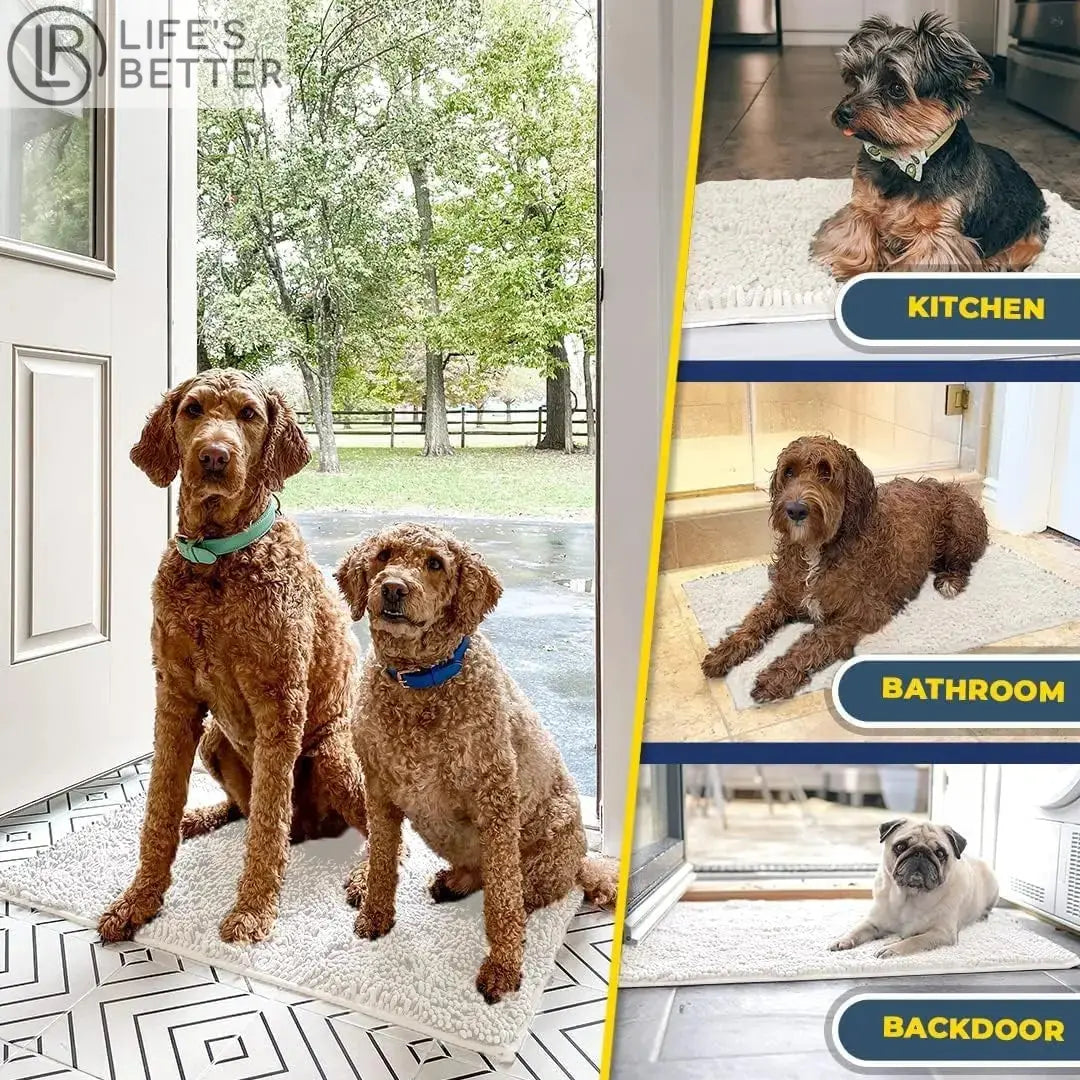 Dog Door Mud Mat: Your Pet's Paw-fect Entryway Companion Life’s Better Ltd
