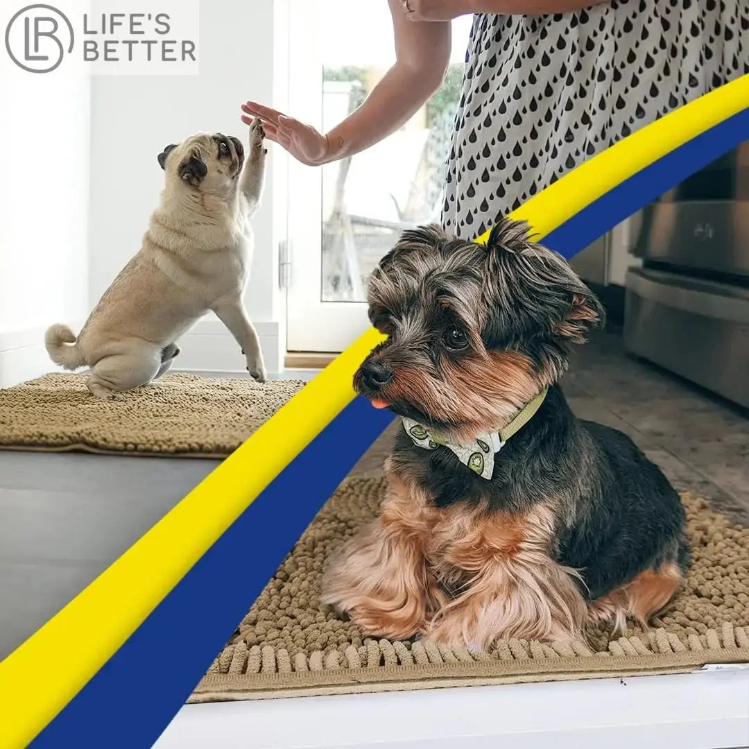 Dog Door Mud Mat: Your Pet's Paw-fect Entryway Companion Life’s Better Ltd