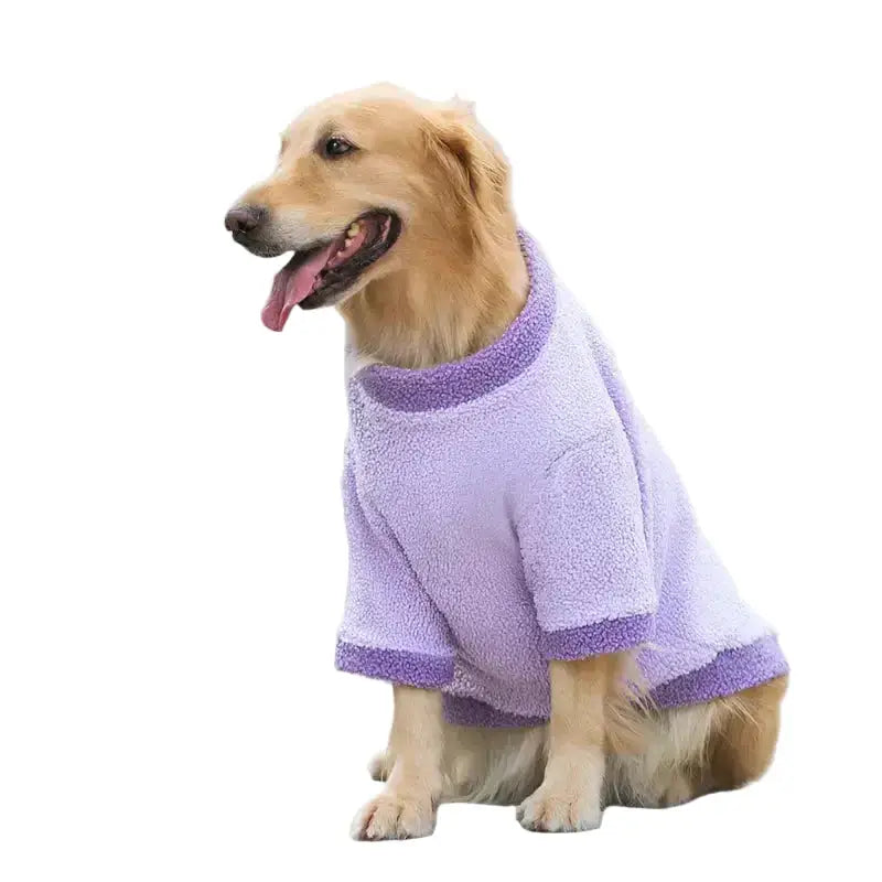 Dog Fleece For Large Dogs - Choice of Colours on a golden retriever wearing a purple fleece.
