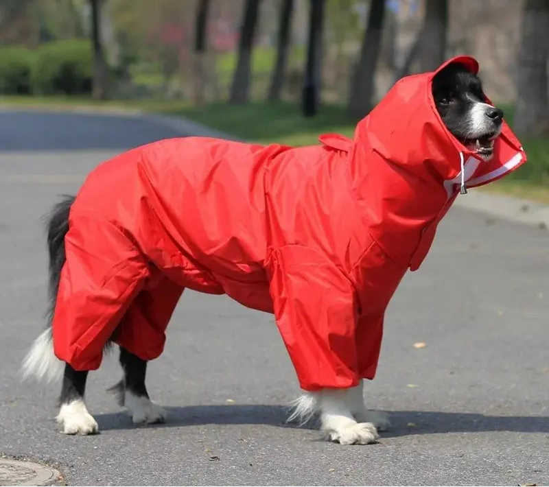 Full Cover Dog Rain Coat Life’s Better Ltd