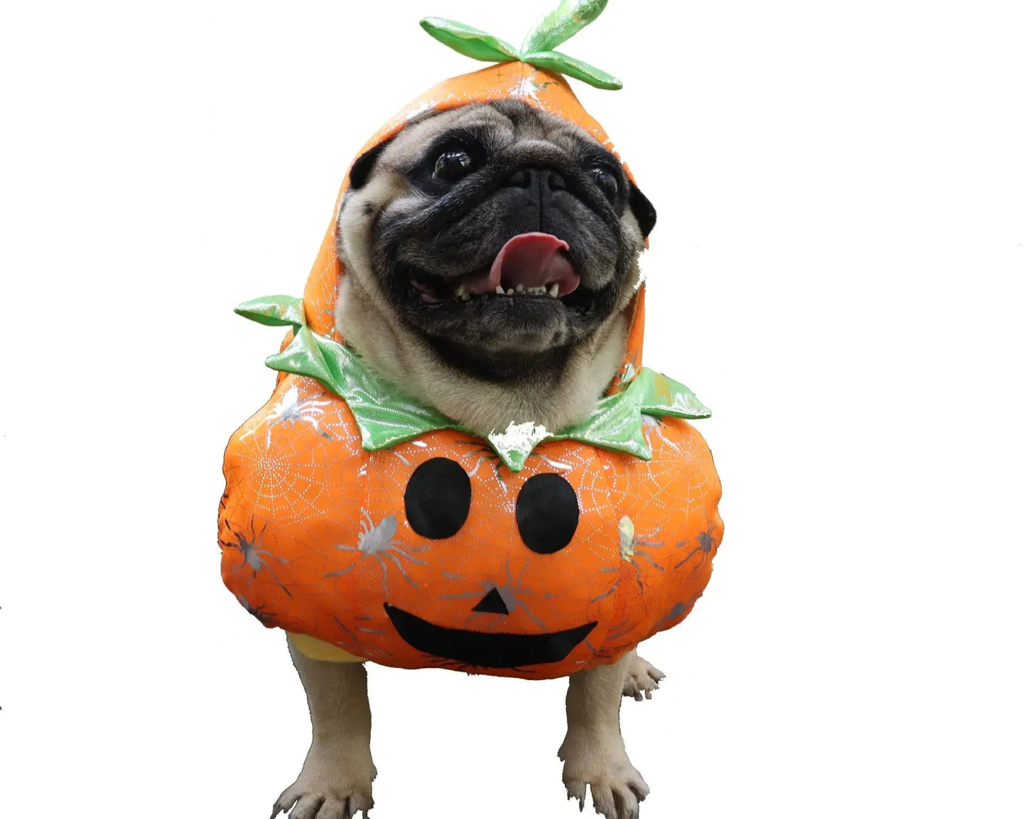 Funny Pumpkin Pet Costume.