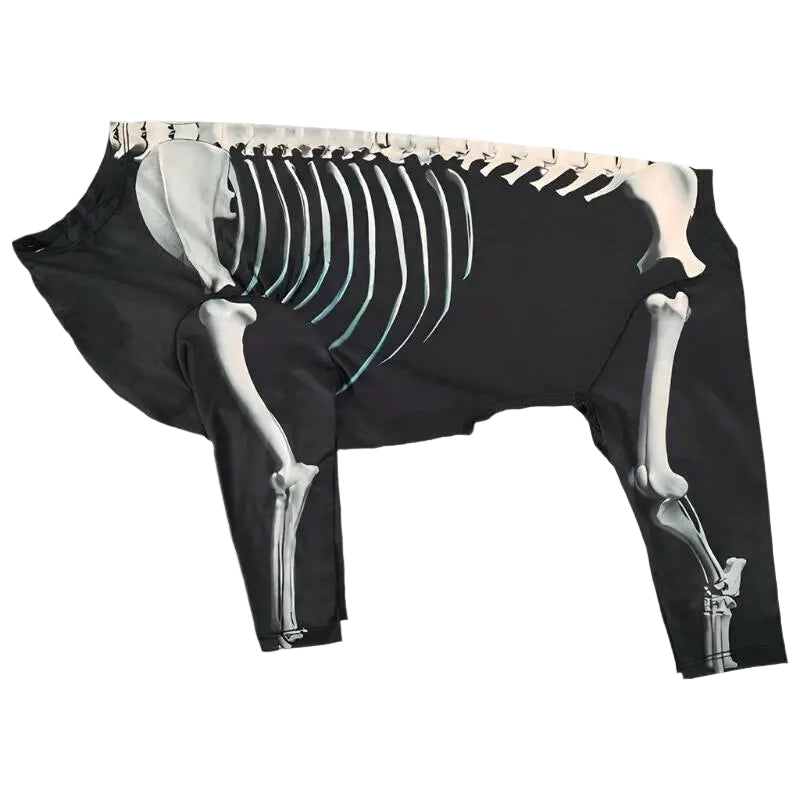 Halloween Skeleton Dog Costume.
