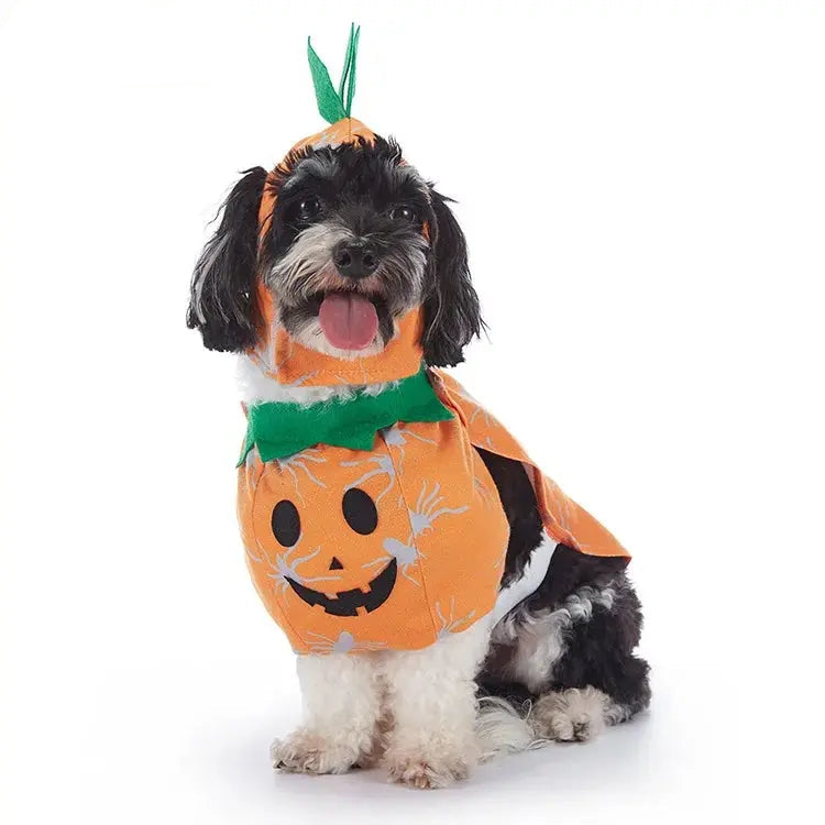 Halloween & Christmas Dog Costumes.