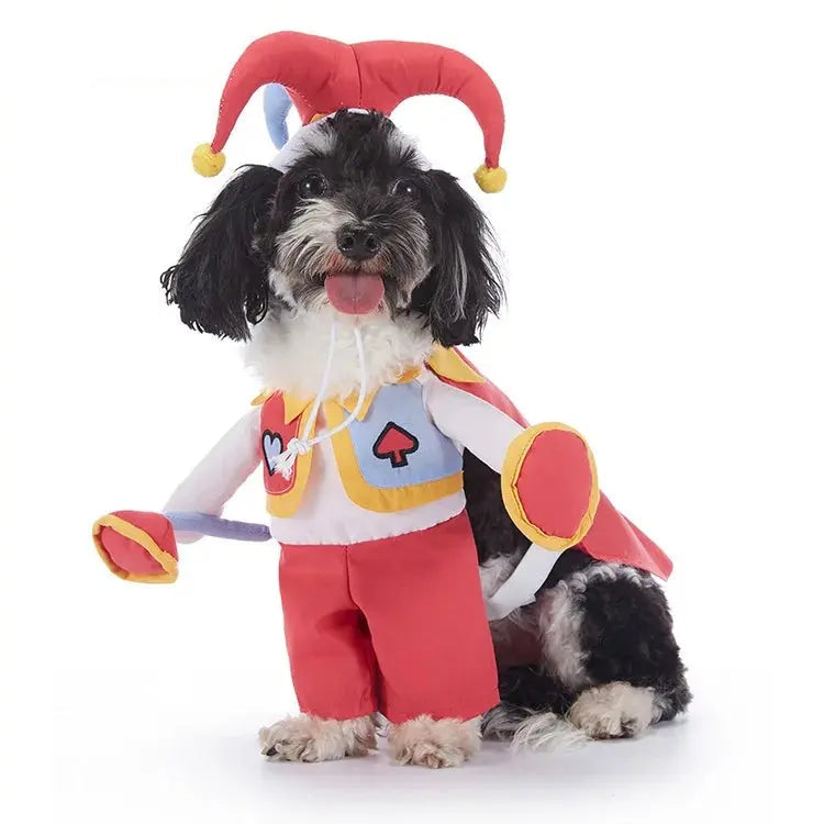 Halloween & Christmas Dog Costumes.