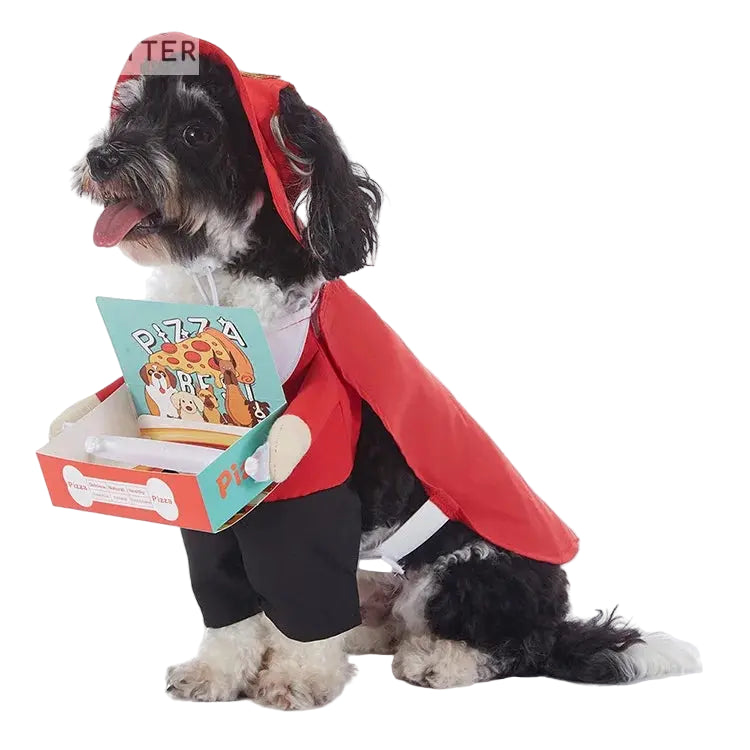 Halloween & Christmas Dog Costumes.