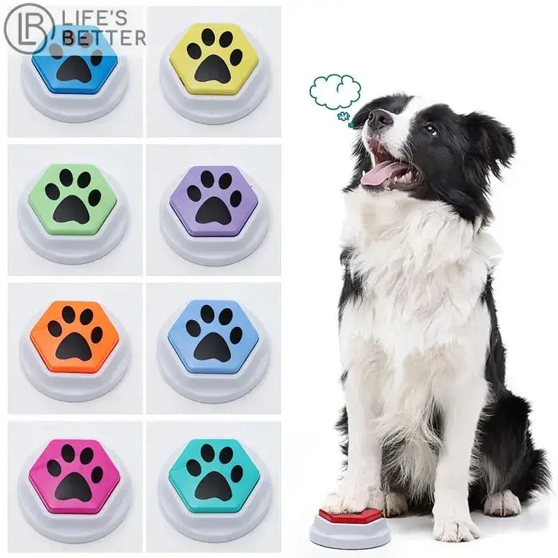 Interactive Dog Training