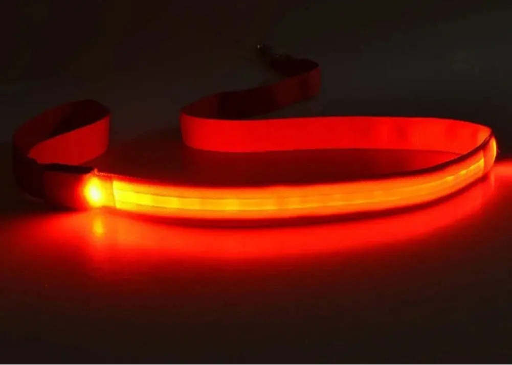 LED Light Up Dog Leash / Lead for Safety!.