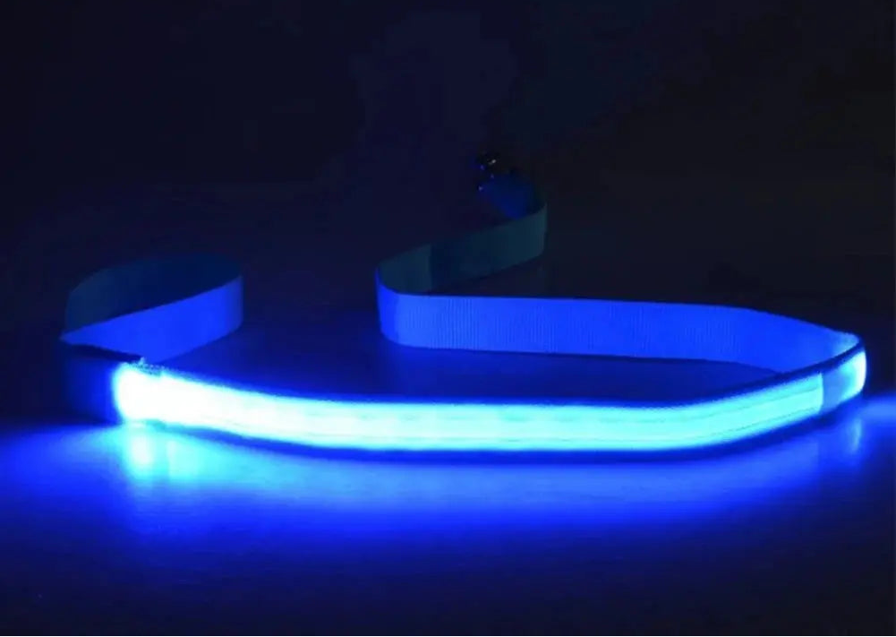 LED Light Up Dog Leash / Lead for Safety!.