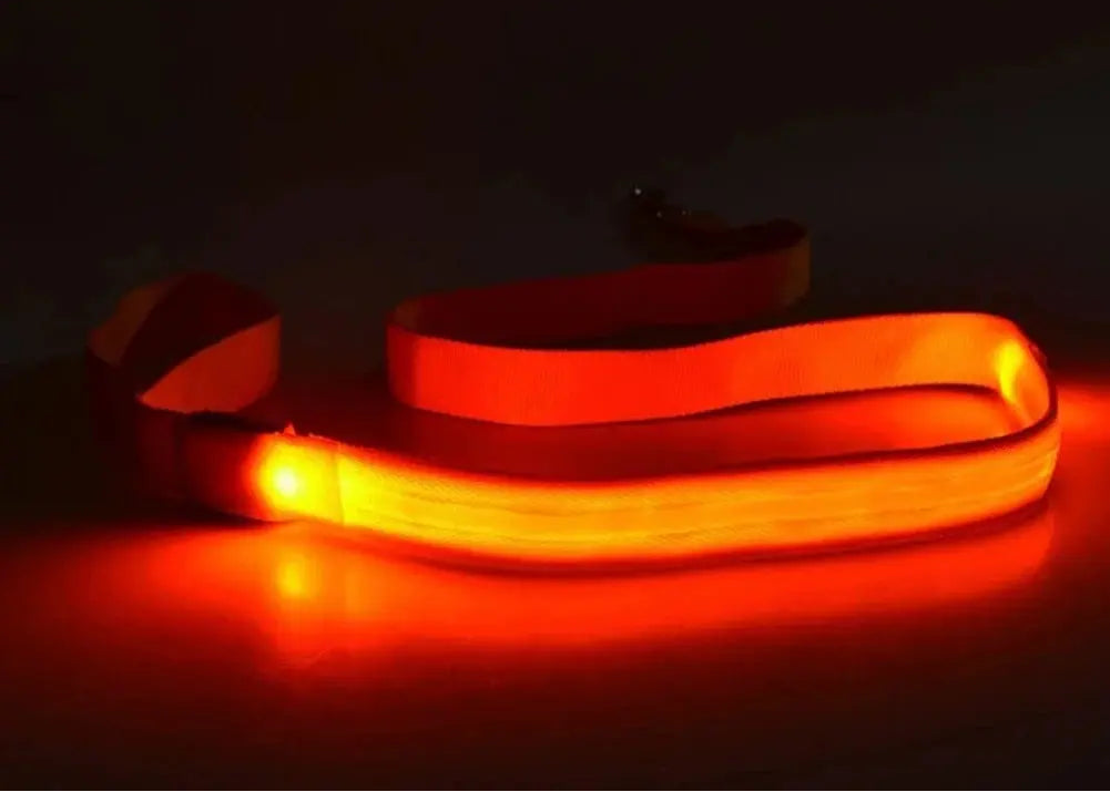 LED Light Up Dog Leash / Lead for Safety!.
