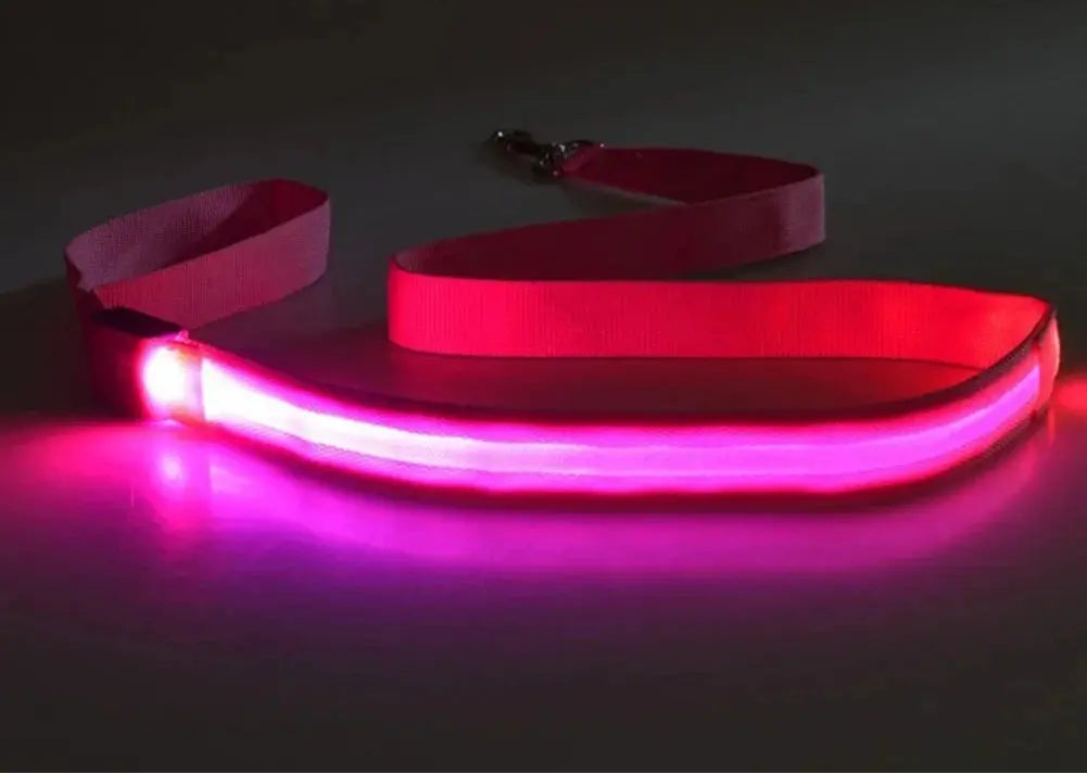 LED Light Up Dog Leash / Lead for Safety!.
