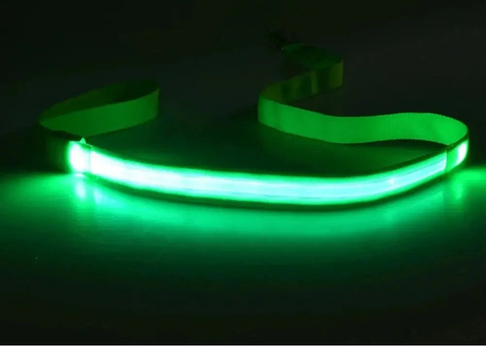 LED Light Up Dog Leash / Lead for Safety!.
