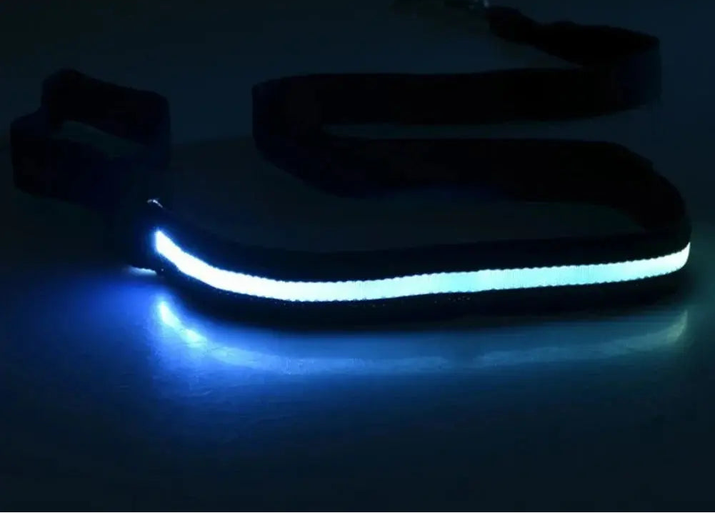 LED Light Up Dog Leash / Lead for Safety!.
