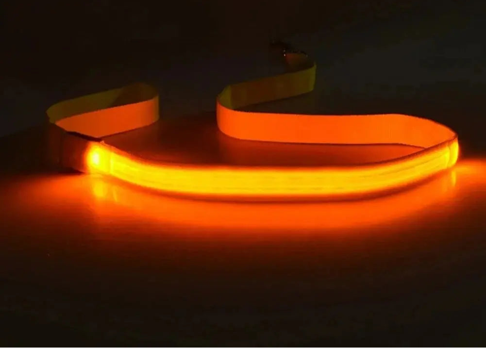 LED Light Up Dog Leash / Lead for Safety!.