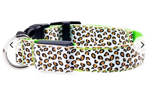 LED Light-Up Nylon Dog Collar for Night Safety!.