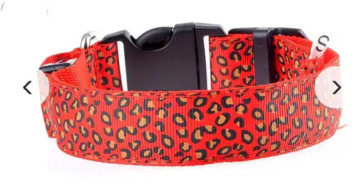 LED Light-Up Nylon Dog Collar for Night Safety!.