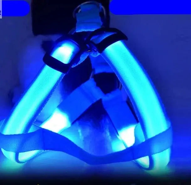 Nylon Pet Safety Harness with LED Lights: Safe and Adjustable.