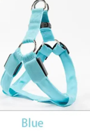 Nylon Pet Safety Harness with LED Lights: Safe and Adjustable.