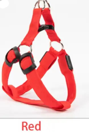 Nylon Pet Safety Harness with LED Lights: Safe and Adjustable.
