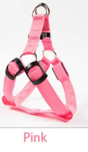 Nylon Pet Safety Harness with LED Lights: Safe and Adjustable.