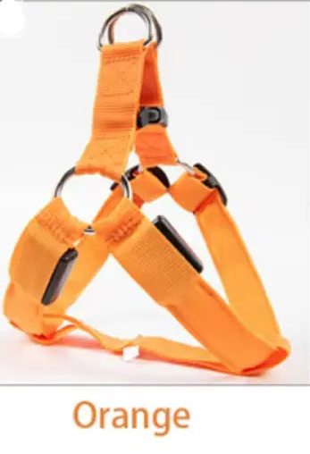 Nylon Pet Safety Harness with LED Lights: Safe and Adjustable.