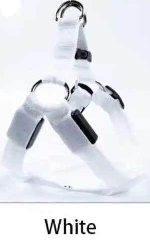Nylon Pet Safety Harness with LED Lights: Safe and Adjustable.