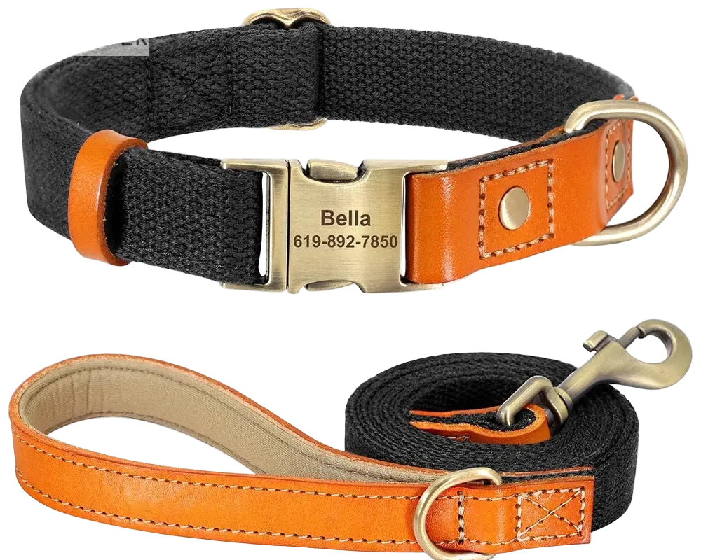 Beautifully Crafted Leather & Nylon Personalised Dog Collar & Lead Set.
