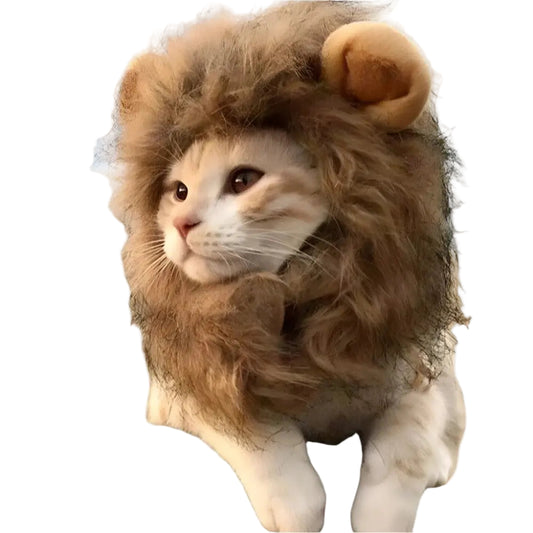 Lion Mane Wig for Small Dogs and Cats!