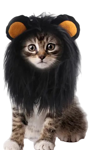 Lion Mane Wig for Small Dogs and Cats!.