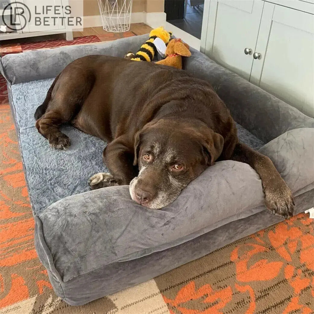 Luxurious Extra Large Orthopedic Soft Sponge Foam Dog Bed