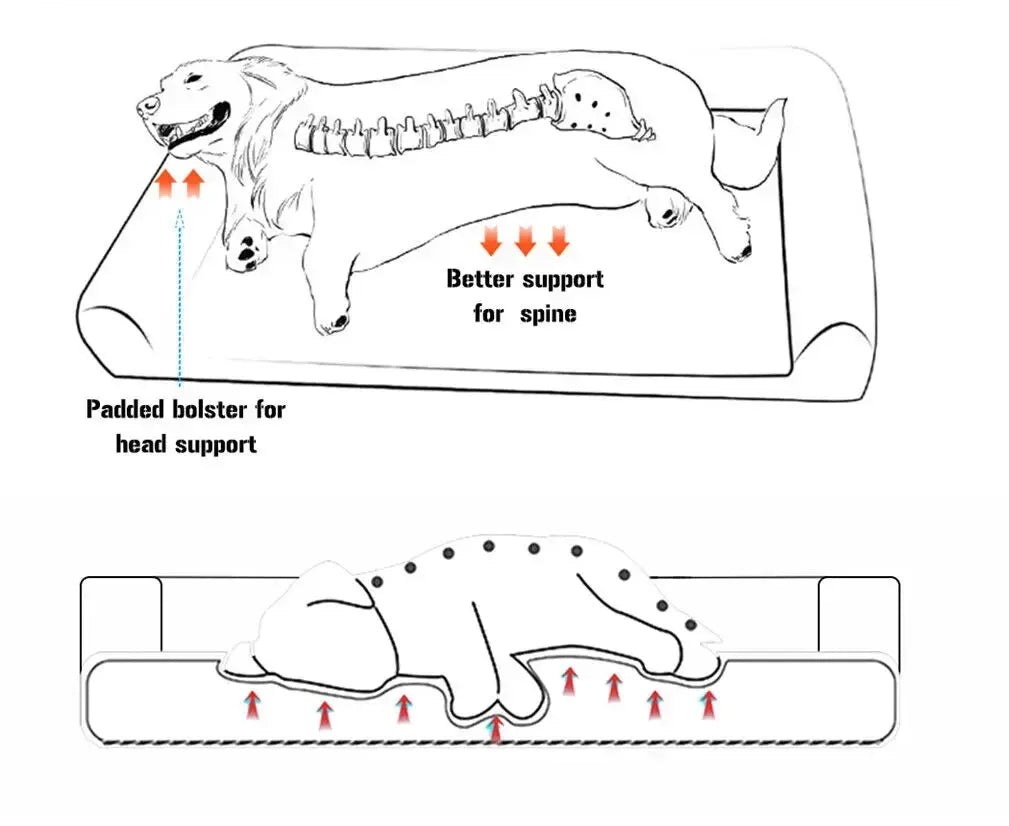 Luxurious Extra Large Orthopedic Soft Sponge Foam Dog Bed Life’s Better Ltd