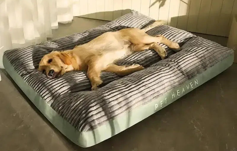 Luxuriously Sumptuous Corduroy Dog Bed with Detachable Washable Cover Life’s Better Ltd